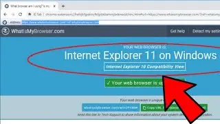 How to Get Internet Explorer on Your Chrome Browser in (2022)
