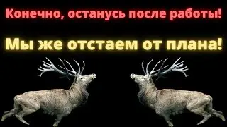 Алени и успешный успех / Как устроено сознание Аленя