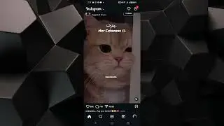 How to Add Full Reel to Instagram Story (2024)