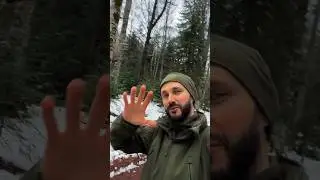 Послание от адвоката📢 #shotrs #адвокат #интересно #конференция #ретрит