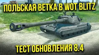 ОБКАТЫВАЕМ ПОЛЬСКИЕ ТТ / ТЕСТ 8.4 WoT Blitz