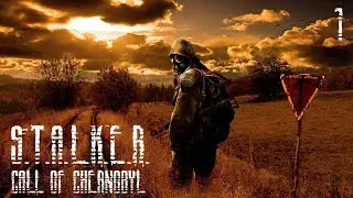 S.T.A.L.K.E.R. Call of Chernobyl, часть 1 - Ну-ка помацаем,что у нас тут?