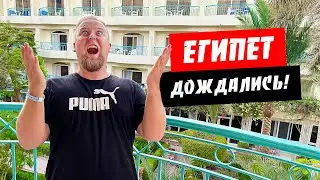 Египет. Дождались! Хороший отель Bella Vista Resort 4*. Номер. Пляж. Завтрак. Отдых Хургада