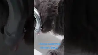 Алиса пьет воду!