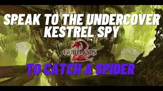 Guild Wars 2 - Speak to the Undercover Kestrel Spy (To Catch a Spider)