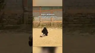 Akibat ketahuan bawah hp.santri muslimah