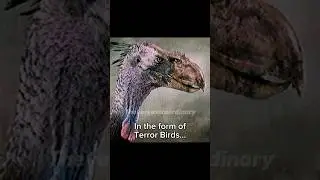 The most terrifying birds to ever live #terrorbirds #dinosaur #extinct #prehistoric #birds #animals