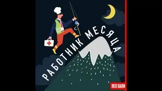 QA Куратор