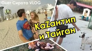 VLOG: Отдыхаем в Крыму: Казантип и в парк Львов Тайган / Сирота Олег