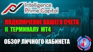 Подключение счета к терминалу МТ4  Обзор личного кабинета INTELLIGENCE PRIME