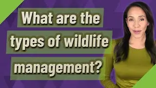 What are the types of wildlife management?