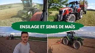 Ensilage et semis de maïs