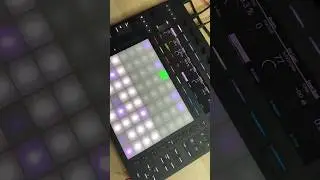 🎛️ ABLETON PUSH 3 + FORS OPAL TECHNO PATTERN #short