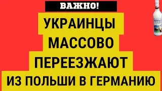 ВАЖНО! Украинцы МАССОВО ЕДУТ ИЗ ПОЛЬШИ В ГЕРМАНИЮ. НО ПОЧЕМУ?