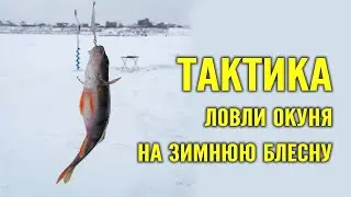 Тактика ловли окуня на зимнюю блесну для начинающих. Все секреты в одном видео!