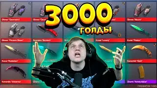 САМЫЙ ЛУЧШИЙ ИНВЕНТАРЬ ЗА 3000 ГОЛДЫ В STANDOFF 2 0.15.3