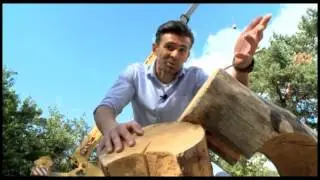 Илья Верин 