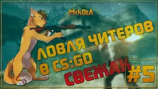 СВЕЖИЕ ЧИТЕРЫ! - ЛОВЛЯ ЧИТЕРОВ В CS:GO #5 (60fps+ᴴᴰ)