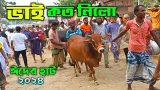 Bhai koto Nilo 2024 || Sirajganj Gas Line Gorur haat 2024 Part-50 || Qurbani Cow price in Bangladesh