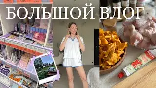 БОЛЬШОЙ ВЛОГ собираемся в школу, планы на кухню, быстрый обед и бюджетные находки для дома