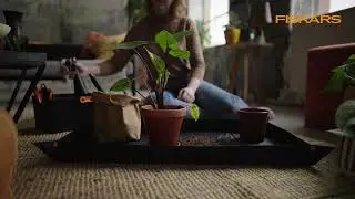 Fiskars: Die optimale Bewässerung für Zimmerpflanzen