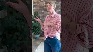 #POZAdance