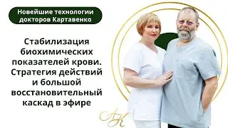 Стабилизация биохимических показателей крови. Большой восстановительный рефлекторный каскад