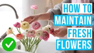 How to MAINTAIN FRESH FLOWERS