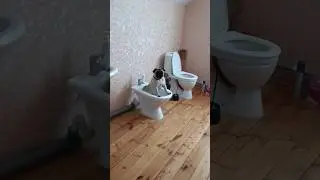 В чистоте, но чуть-чуть в обиде