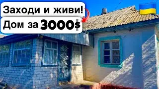 🇺🇦 Заходи и живи! Дом в селе за 3000$ Продажа недвижимости за копейки! Всё есть Уютное тихое село!