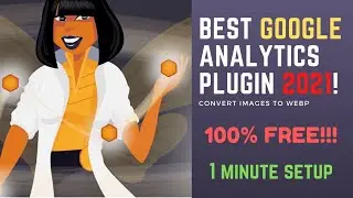 Beehive Analytics Wordpress Plugin Tutorial 🔥 Setup Google Analytics in 1 Minutes  😎