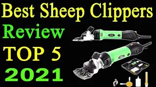 Top 5 Best Sheep Clippers Review 2021