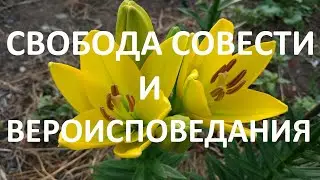 Свобода совести и вероисповедания в Российской Федерации