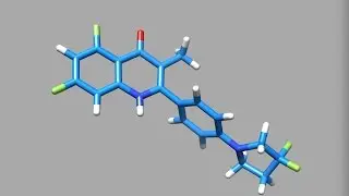 Heterocyclic Quinolones – privileged pharmacophore for TB and Malaria