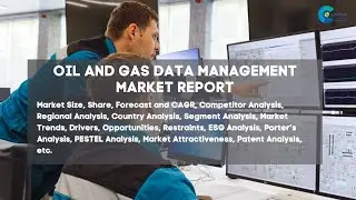 Oil and Gas Data Management Market Report 2024