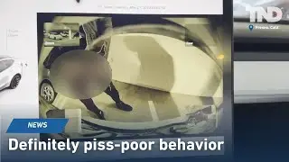 Tesla tinkle? Man seen on camera relieving himself on Tesla in hospital parking garage
