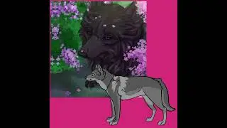 хранители волков:♡sugar crash ♡эдит
