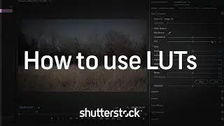 Color Grading 101: How to Use LUTs | Video Editing Tutorials