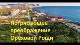 Нереальная движуха. Анапский парк 