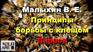 #Малыхин