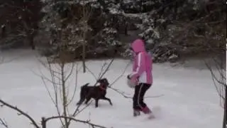 Snowy Saturday Fun with Roxy