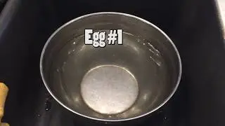 Egg Test - See if those eggs in your fridge are safe to eat or not!