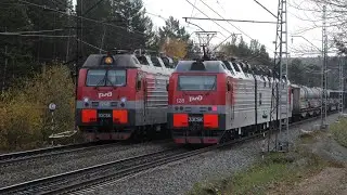 Trains in Siberia in golden autumn. Glubokaya - Andrianovskaya stretch. Russia. Irkutsk region.