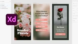 Adobe XD Tutorial for Beginners