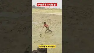 big fish catching 🦈। देखिए गांव में मछली कैसे पकड़ते हैं #shorts #youtubeshorts #viral