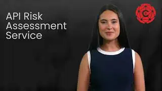 API Risk Assessment | Unlocking API Security