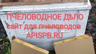 Пасека. Ноябрь. Что ещё можно сделать для пчёл
