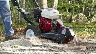 Northstar Compact Stump Grinder vs 5 inch tree stump