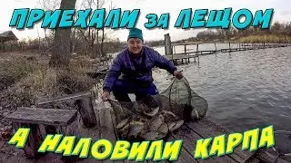 РЫБАЛКА ВЕСНОЙ 2020! ЛОВЛЯ КАРПА НА ФИДЕР!