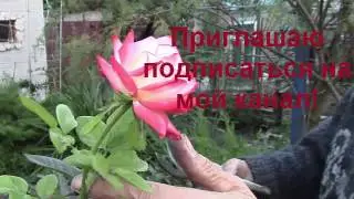 Закрывающее окно  на канал 